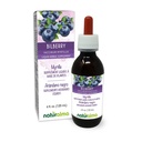 Naravoslovna borovnica ali evropska borovnica (Vaccinium mirtillus) Tinktura brez alkohola - 4 fl oz Tekoči ekstrakt v kapljicah - Zeliščni dodatek - Vegan