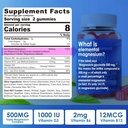 Magnezijev dodatek 500mg, Magnezijev kompleks Gumies w/magnezijev glicinat, Malat, Citrat, D3, B6, B12 za spanje, Migrena Relief, mišice in kosti, Ultimate Absorpcija Magnezijev dodatek, 2 Pakiranje