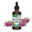 Narava odgovor mleko osat 2 Ounce Extract - Alkohol brez gensko spremenjenih organizmov, Jetra podpora dodatek za vsakogar - Jetra Detox, Made in ZDA