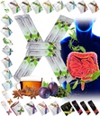 Vse naravne Detox čiščenje Instant Tea Mix Prune & Plum w. Fiber & Inulin za optimalen črevesni tranzit s FuXion Prunex 1 (10 vrečke)