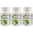Kreking Super absorpcija Astragalozid IV 98% dopolnila proti staranju za podporo odraslih Imunska podpora 50 mg/Cap 90 pokrovčki v 3 steklenici