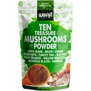 Wixar gobe v prahu - Deset Treasure gobe Extract dodatek mešanica za kavo in napitki - Levi Mane, Turčija rep, Reishi, Chaga, Shiitake, Cordyceps, Complex - 4oz gobe dodatek