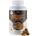 Naturealm Sacred 7 Izvlečki organskih gob Kapsule - Premium 7 Dopolnilo gob z levi Mane, Reishi, Chaga - USDA Organic Imune Support & Focus - 90 Vegetarijanske kapsule