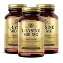 Solgar L-Lysine 500 mg - 100 rastlinskih kapsul, pakiranje po 3 - podpora za kožo in tkivo - ne-GMO, Vegan, Košir, brez glutena - 300 skupnih servvov