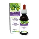 Naturalma Rhodiola rosea (Sedum roseum) Root Alkohol-free Tinkture - 4 fl oz Tekoči ekstrakt v kapljicah - Zeliščni dodatek - Vegan