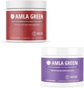 Amla Powder & Green Tea Superfood Supplement, Antioksidant Podpora, Izdelano s Hibiscus (90 servies) &Elderberrys (30 servies), Organic, Vegan