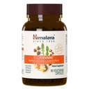 Himalaja FlorAvani - Herbal Digestive Health Supplement podpirajo zgago in slabost Relief - Vegan, Non-GMO, Gluten prost, klinično Študiran, 271 mg, 90 kapsul