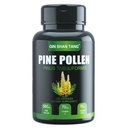 Pine Pollen Dopolnilo wtih ingver koren in vitamin C, 99% razpokan Cell Wall,120 Veggie kapsule,Focus&Immune Izboljšanje za ženske in moške