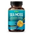 Premium Sea Moss z Ashwagandha, Burdock Bladderwrack, Črno seme za imunski sistem, kožo, Digestion & Energy- Izdelano v ZDA (150 Število (Pack od 1))
