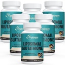 2400 MG liposomski glutation softgels, Max Absorpcija, aktivna oblika L-glutation zmanjša (GSH), s hialuronsko kislino, Resveratrol, Master antioksidanti za detox, možgani, imunski sistem, 360 Softgels