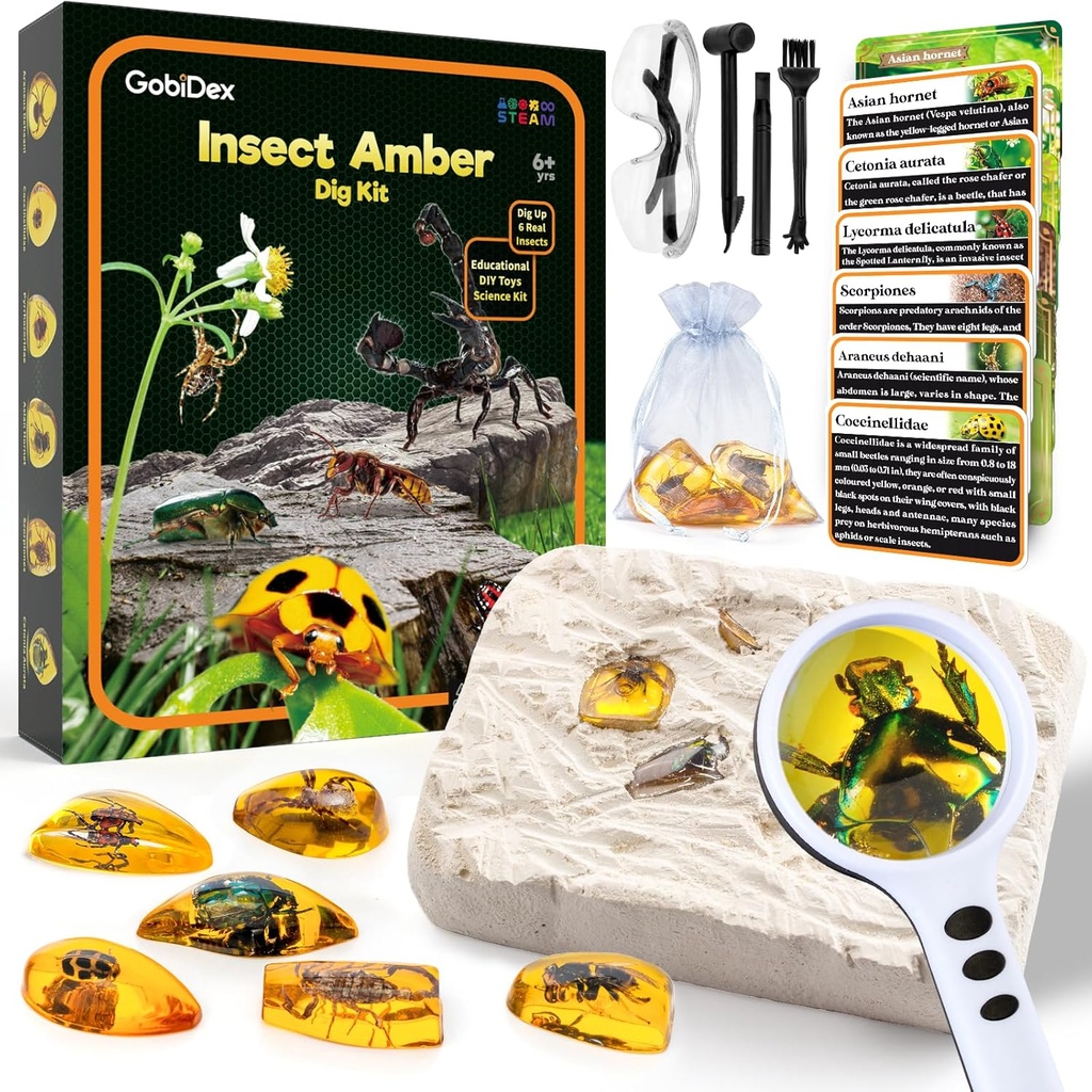 GobiDex Amber Dig Kit-Artificial Insect Resin, Excavate 6 Insekti Specimens, STEM Geographic izobraževanje hrošči igrače, Izkopavanje igrače za zabavo Bugs stranke favors, Znanost kompleti za otroke starosti 6-8 8-12