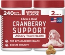 Dog UTI zdravljenje brusnice dopolnilo za pse, 240 Soft Chews - Naravni sečni trakt Infection Support and Healthy Bladder Control – Izdelano z Echinacea in vitamin C (2 pakiranj po 120)