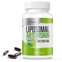 900 mg liposomskega Artemisinina za maksimalno absorpcijo, ekstrakt sladkega Wormwooda (Artemisia Annua) s Quercetin Phytosome 200 mg, 60 mehkih kapsul - 2 meseca dobave