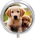 Pill Box 3 Compartment okrogle tablete Organizator vsak dan majhne tablete Primer za potovanje srčkan Golden Prinašalec Puppy Metal Tablete Kontejner Prenosna medicina Organizator za tablete vitamini ribje olje dodatek
