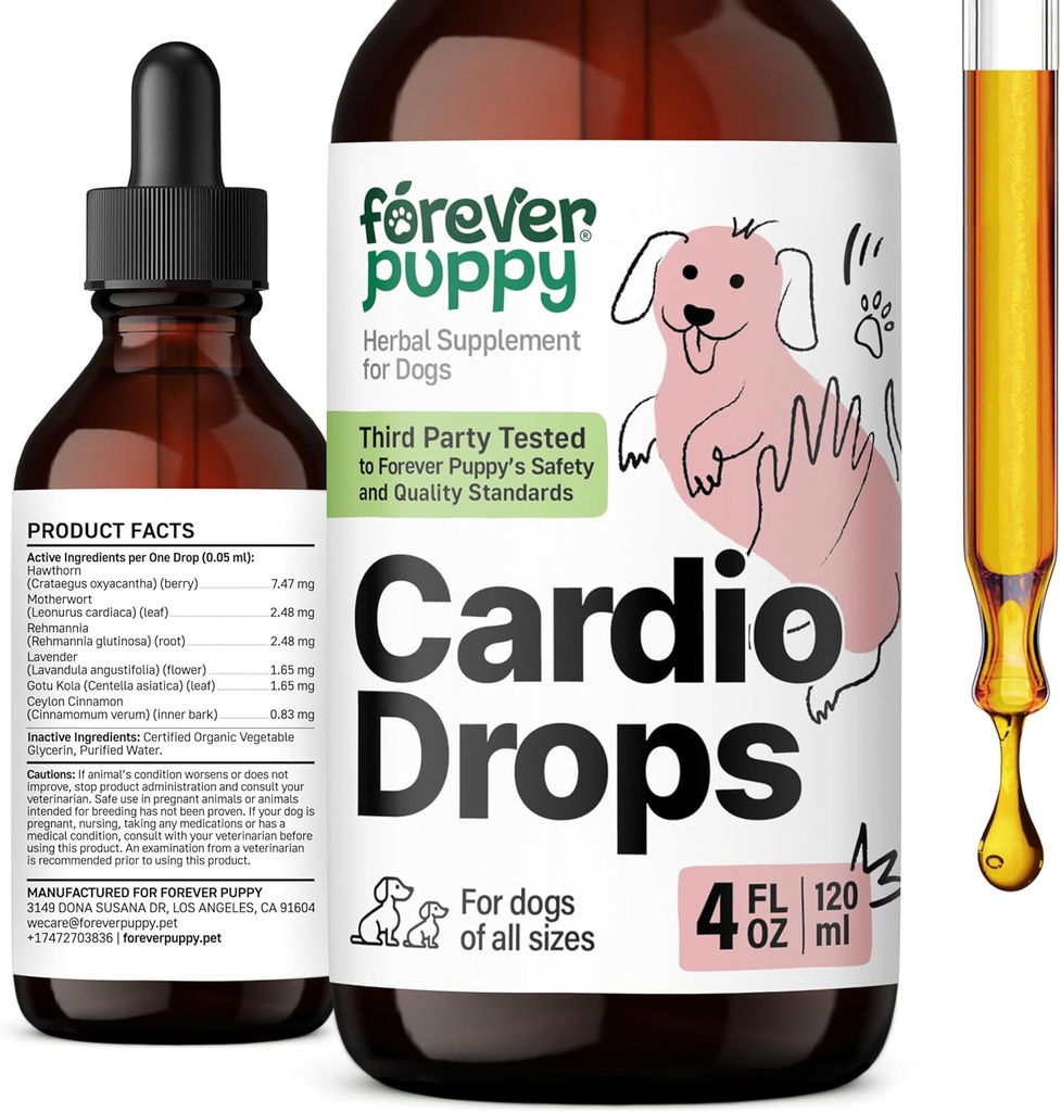 Večno Puppy Cardio Kapljice za pse - Podpora za srce za pse w/Hawthorn Berry & Matherwort Herb - Tekoči antioksidant dodatek w/Gotu Kola Leaves & Sivka Extract - 4 fl oz