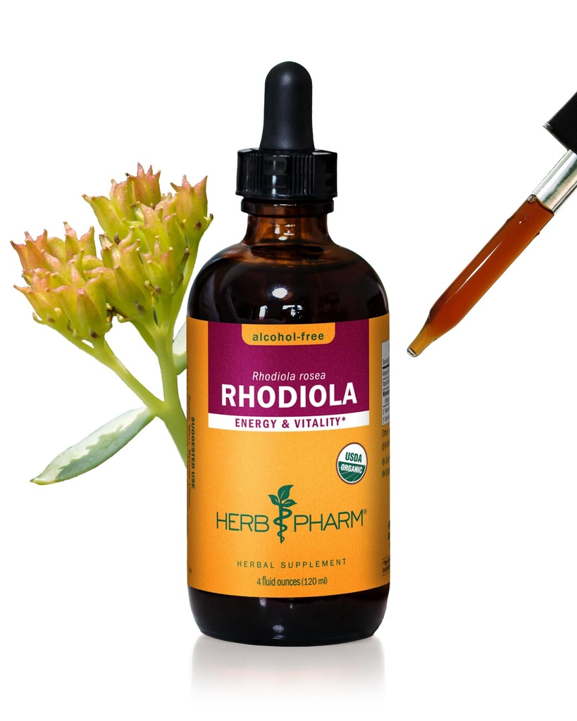 Herb Pharm Certified Organic Rhodiola Root Extract za energijo, vzdržljivost in Stamina, Alkohol-free Glicerit, 4 Ounce