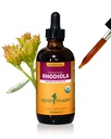 Herb Pharm Certified Organic Rhodiola Root Extract za energijo, vzdržljivost in Stamina, Alkohol-free Glicerit, 4 Ounce