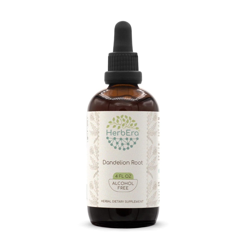 HerberEra Dandelion koren B120 Alkohol brez zeliščnega ekstrakta tinktura, super koncentrirana Dandelion (Taraxacum Officinale) posušena koren (4 fl oz)