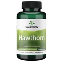 Swanson Hawthorn Extract (standardiziran) 250 miligramov 120 kapsul