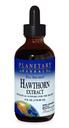 Planetarna zelišča Polni spekter Hawthorn Liquid Extract dodatek, 4 Fluid Ounce