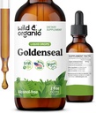 Wild & Organic Goldenseal Root Tinkture - Pljučni čiščenje, Imunska & Prebavna podpora - Tekoči Goldenseal dodatek - Vegan, Sugar & Alkohol-free Herb kapljice - 2 fl oz