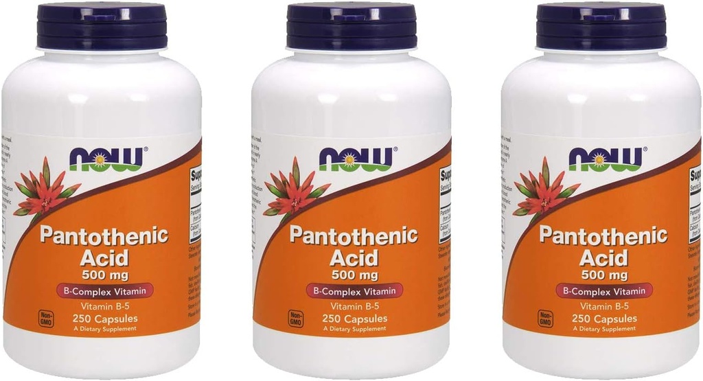 NOW Foods Pantotenska kislina 500 mg, 250 kapsul (3 pakiranja)