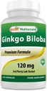 Najboljši naravni Ginkgo Biloba 120 mg 120 kapsul
