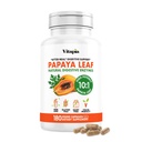 Papaya Fruit Enzyme Kapsule za prebavljanje, napenjanje, Imunska podpora za moške in ženske - 1500mg organski Papaya prašek na serviranje - 180 Veggie Kapsule - ne-GMO, Gluten-free, Vegan-prijatelj