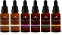 Rastlinska terapija Organic Tinktures Začetnik Set 30 ml Vsak organski Ashwagandha, Asian Ginseng, Echinacea Mešanica, Bezgove jagode, Lemon Balm & Kurkurja