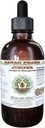 Juniper Brez alkohola Tekoči ekstrakt, Organski Juniper (Juniperus Monosperma) Posušene Berry Glycerite Havaji Pharm Natural Zeliščni dodatek 4 oz
