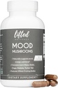 Gobe razpoloženja - Liver's Mane, Reishi, Chaga, Turčija Rep, Maitake - Energija, Fokus, Stress Relief