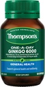 Thompsonov Ginkgo 6000 mg 60 kapsul