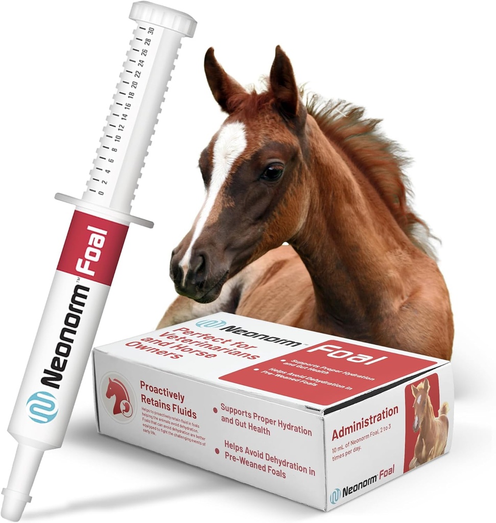 Jaguar za zdravje živali žrebe - Equine dodatek paste za podporo pravilno hidracijo in Bowel zdravje - rastlinsko-bazen izdelek za predodstavljene žrebe (30 ml)