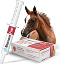 Jaguar za zdravje živali žrebe - Equine dodatek paste za podporo pravilno hidracijo in Bowel zdravje - rastlinsko-bazen izdelek za predodstavljene žrebe (30 ml)