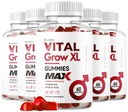 (5 Pack) Vital Grow XL moški Gummies - moški uspešnosti Gummies 1050MG Vital GrowXL mešanica, Vital rast Gummy Napredno Formula, 300 Gummies za 5 mesecev