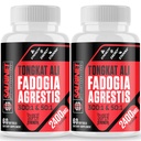 2400mg Fadogia Agrestis Tongkat Ali dodatki - Tretja stranka Tested - 1400mg Fadogia Agrestis & 1000mg Tongkat Ali, Največja moč, Mišična masa & Athletic Performance, 2 paketa