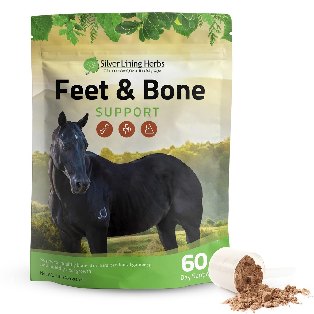 Silver Lining Herbs Noge in podpora za kosti konj dodatek v prahu naravni tendoni, vezi & okolica Tsues & Hoof dodatek za konje - Normalni Limbs Circulation Horse Dobavitelji - 1 LB