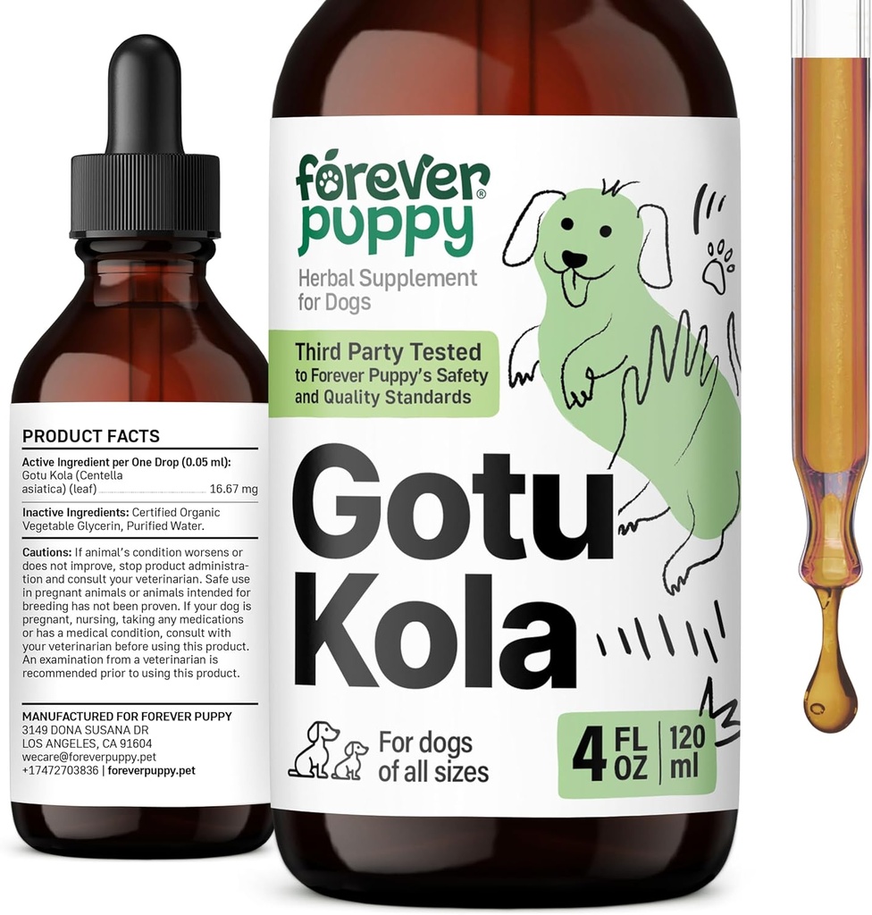 Večno Puppy Gotu Kola kapljice za pse - Gotu Kola Extract & Centella Asiatica za podporo zdravju možganov - Prehranski možganski dodatek za pse vseh pasem in velikosti - 4 oz