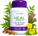 Intus zdravljenje Colon Cleanse in Gut Health Supplement za ženske – Ayurvedic Detox čiščenje za prebavnega zdravja – Gut Detox čiščenje in razstrupljanje telesa za ženske – 60 tablet