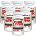 Liposomski glutation 2000 mg z L-serinom, L-glicinom in Sulforaphaneom – Active L-glutatione Edinstvena formulacija za povečanje absorpcije - Mojstrski antioksidant, razstrupljanje in imunost
