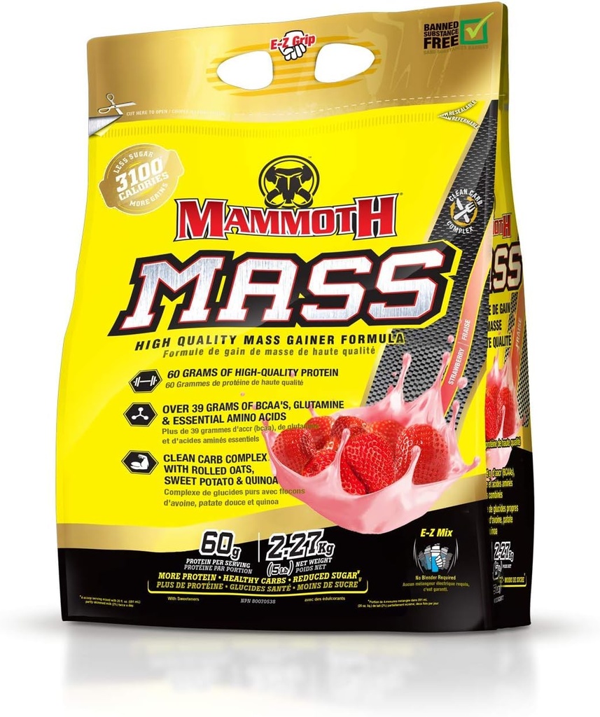 Masa MAMMOTH: Hujšanje, visoko kalorična beljakovinska powder vadba Smoothie Shake, nadomestek obroka, nizek sladkor, koncentrat sirotkinega izolata, kazeinska beljakovinska mešanica, visoke beljakovine (rjavica, 5 funtov)