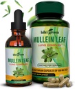 KIKI Green Mullein kapsule in tekoče kapljice Bundle - Mullein Leaf Extract dodatki, 90 Kapsule + 2 fl oz - za podporo dihal in imunitete, boljše Lung funkcijo, čiščenje in lajšanje pljuč