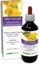 Naturalma Great Mullein ali navadni Mullein (Verbascum tapsus) Cvet in list Alkohol brez tinkture - 6.76 fl oz Tekoči ekstrakt v kapljice - Zeliščni dodatek - Vegan