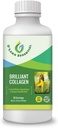 Marine Liquid Collagen dodatek -1.000mg Morikol Tripeptide Marine Collagen Plus 1.000mg Biotin Hyaluronska kislina Vitamin C Zdrave kože Nails Skupna podpora GMP Certified Gluten&Soy Free