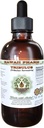 Tribulus brez alkohola Tekoči ekstrakt, Tribulus (Tribulus Terrestris) Suhi sadni glicerit Naravni zeliščni dodatek, Havaji Pharm, ZDA 2 fl.oz