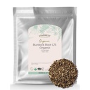 Starwest Botanicals Burdock Root Organic - Naravni vir antioksidanti, Loose Herb za čaj, riž, Juha, & Stews, Rez in Sifted, Certified Kosher, Non-GMO - razsutem stanju 1 lb vrečka