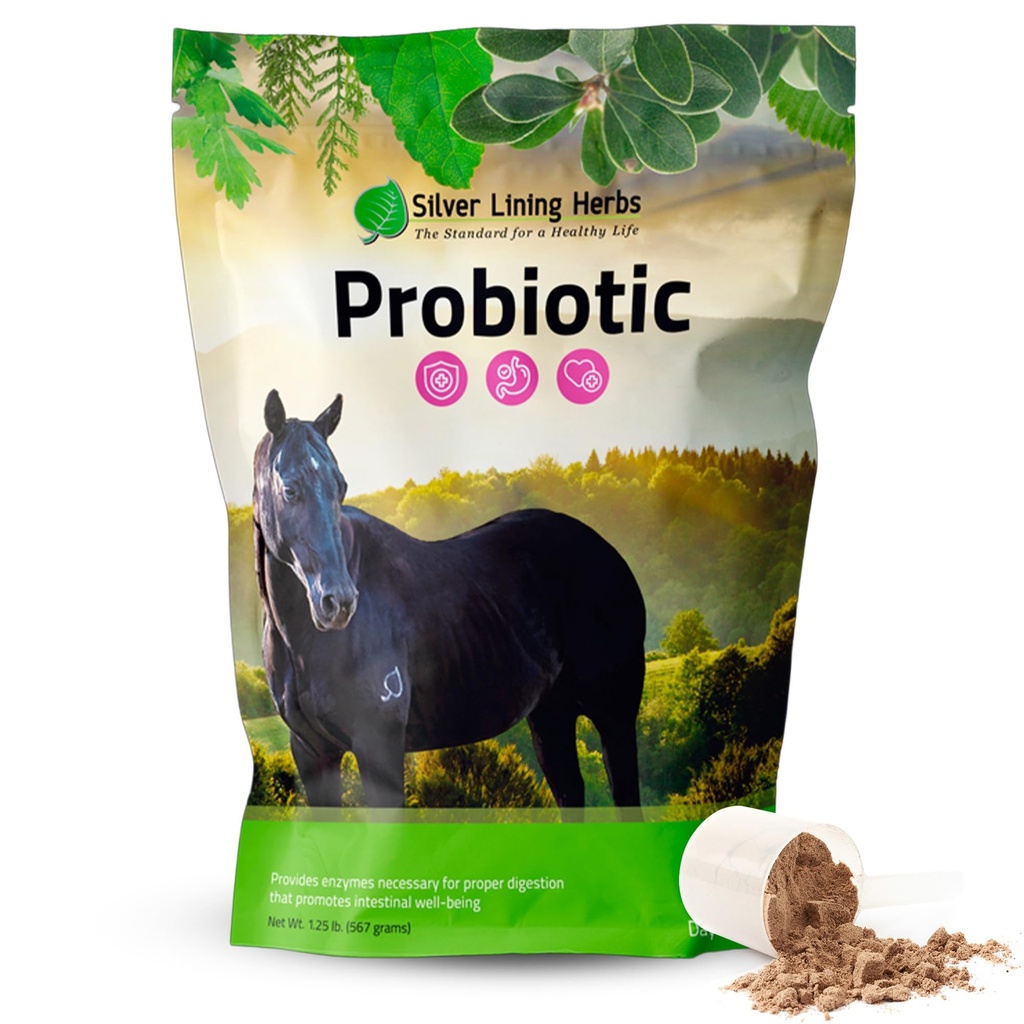 Silver Lining Herbs Horse Probiotics Prebavni dodatki - Prebavni Enzyme & Gut Health Probiotic dopolnilo za konje - Vsebuje 13.2 milijard CFUs Probiotični sevi - 1.25 lb 60-dnevno oskrbo