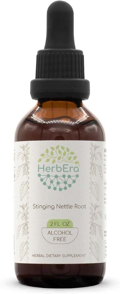 Herbera Sting Nettle Root B60 Alkohol-free Herbal Extract Tinkture, Koncentrirane tekoče kapljice Naravne Stinging Nettle (Urtica Dioica) 2 fl