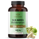 Kapsula HERBAMAMA Irish Sea Moss - 1600mg Sea Moss in Bladderwrack za imuno podporo - Veganska, ne-GMO imuniteta dodatek za splošno podporo