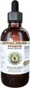 African Cherry Pygeum brez alkohola tekoči ekstrakt, African Cherry Pygeum (Prunus Africana) Bark Glycerite Natural Herbal Supplement, Havaji Pharm, ZDA 4 oz